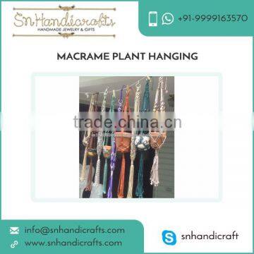 Exclusive Range of Macrame Plant Hanging for Sale