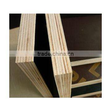 film faced plywood for concret , film faced plywood with russian birch core , film faced plywood board