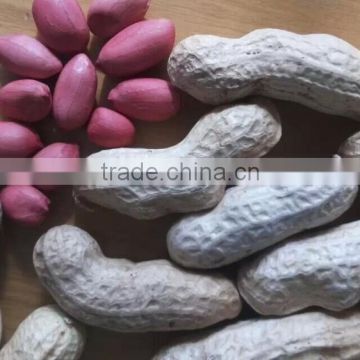 2014 crop Chinese red skin peanuts 50/60 40/50 , good quality with no aflatoxin