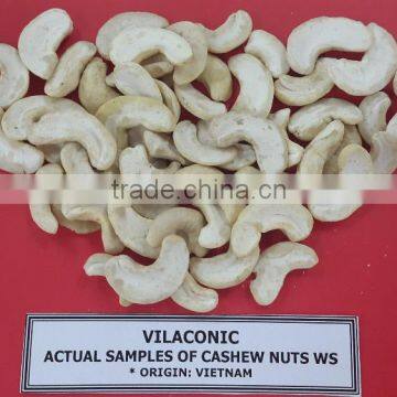 HIGH QUALITY VIETNAM CASHEW NUT photo-2