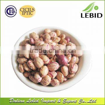 2016 Crop LSKB xinjiang round shape beans