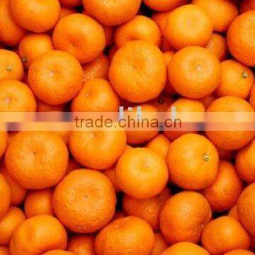 mandarin