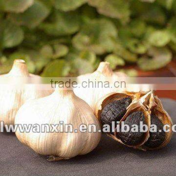 fermented black garlic