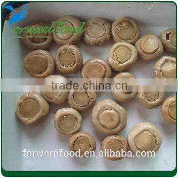 canned abalone mushroom in brine