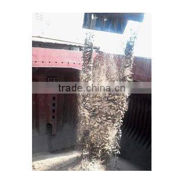 River Sand Export/Cambodia / Vietnam photo-3