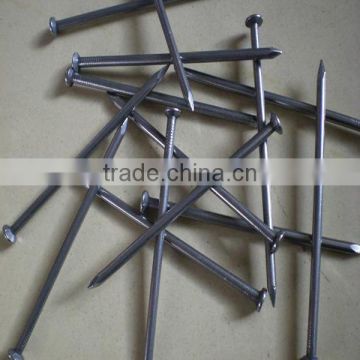 galvanized common iron nails/wire nails factory for construction