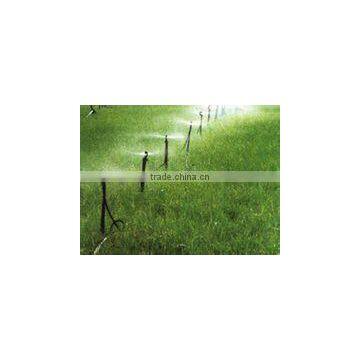 CYLR Most Popular Forestry Irrigation Mirco System Micro Spray Products photo-6