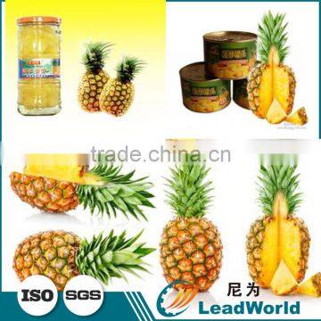 Best Price Automatic Canned Pineapple Palletizer photo-2