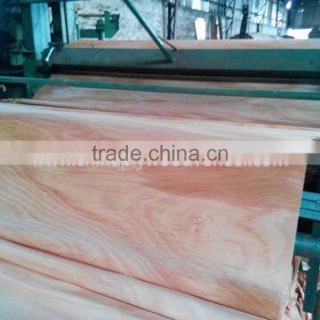 Rotary Cut Grade a b c no Hole 0.3mm 4'x8' Okoume Face Veneer photo-5
