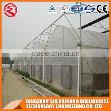 China Direct Plastic Greenhouse for Plant Tomato and Flowers photo-3