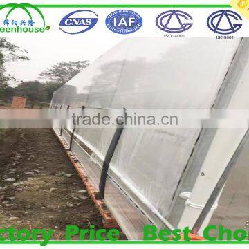 Commercial Climate Control Strawberry Greenhouse With Thermal System photo-5