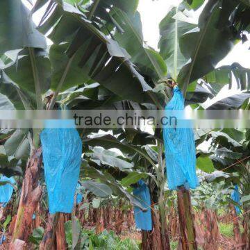 Plastic Weave Water Proof Tarpaulin for Irrigation photo-3