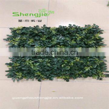 SJLJ013536 Factory Price Artificial Boxwood Green Hedge Fake Plastic Grass photo-3