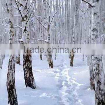 Birch in the Snow Oil Painting