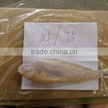 Frozen Yellow Croaker 55/75 G/pc photo-2