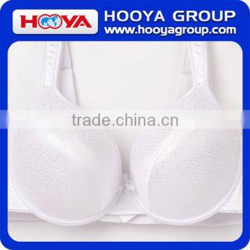 White Sexy Lace Bra Transparent Lace Bra Beautiful Bra Sexy Bra Design