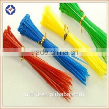 Colorful factory price self-locking nylon cable tie