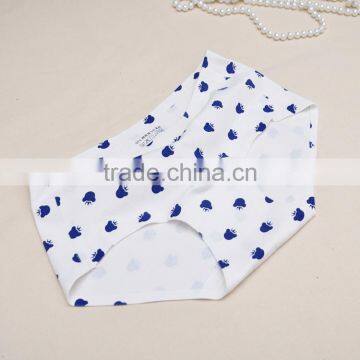 Fashion Strip 2016 Sexy Bra and Girls Photos Slim Panties photo-5