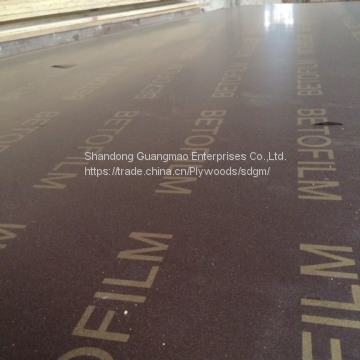 Antislip Film Faced Plywood photo-4