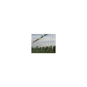 Flag Pole photo-2