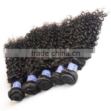 2016 New Products on China Market, Mongolian Virgin Hair, Mongolian Kinky Curly Hair photo-6