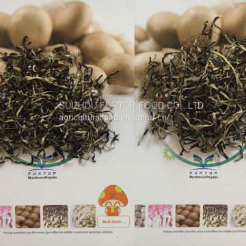 Factory Price Two Grades of Dried White Back Black Fungus Mushroom Slices