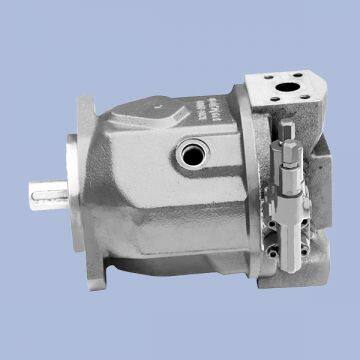 Aa10vso100dflr/31r-ppa12n00 Low Noise Marine Rexroth Aa10vso Double Gear Pump