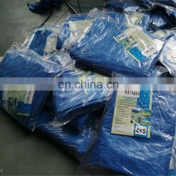 2M x 3.6M CLEAR HEAVY DUTY WATERPROOF TARPAULIN SHEET TARP COVER