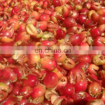 Discount Price Coffee Beans Husker/ Coffee Hulling Degumming Machine photo-3