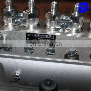 Genuine weifu fuel injection pump 6AW182C for Xichai CA6110/125G5 OE 1111000-017-SG6A