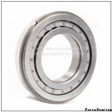 Fersa Bearing