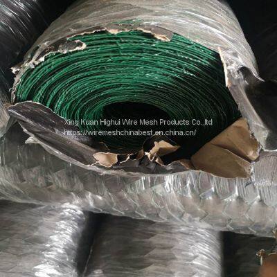30mmx30mm PVC Coated Hexagonal Chicken Wire Mesh photo-4