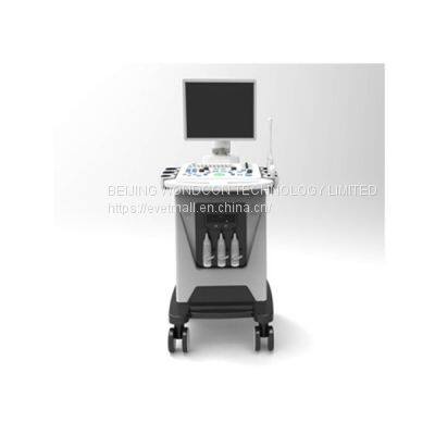 WMV-300BWT Veterinary B/W Trolley Ultrasound Scanner