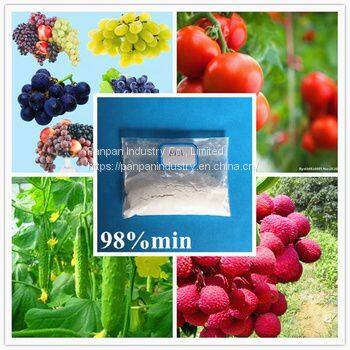 Plant Rooting Hormone Auxin Naa 1-Naphthylacetic Acid 98%TC photo-3