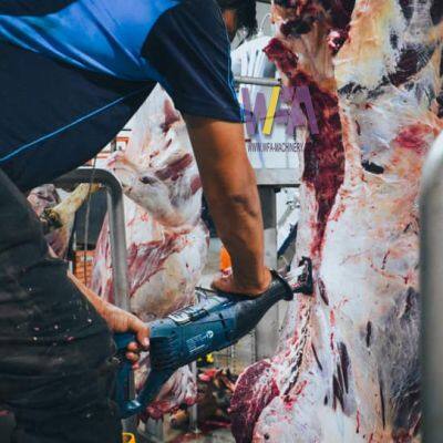 Design Mini Cow Slaughterhouse Equipment Cattle Halal Meat Processing Slaughter Machine photo-2