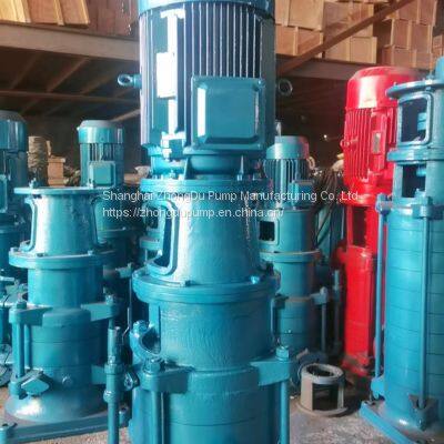 DL DLR SERIES VERTICAL MULTISTAGE CENTRIFUGAL PUMP photo-4