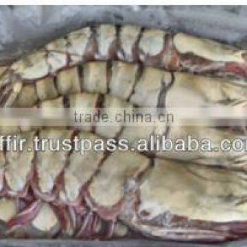 High Quality Frozen PENAEUS MONODON