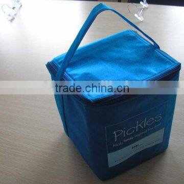 Cooler Bag
