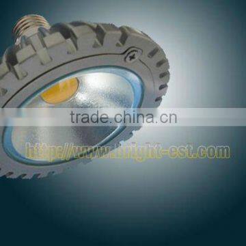 LED Spotlight 8W BG-318