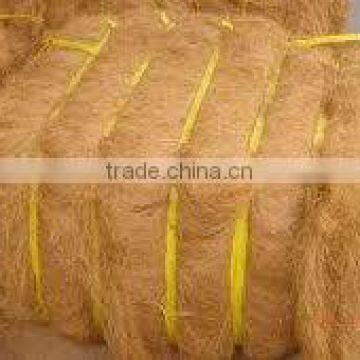 Coconut Husk Fiber