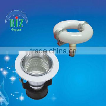 downlight ceiling fixture