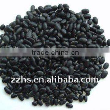 Canned Balck Beans