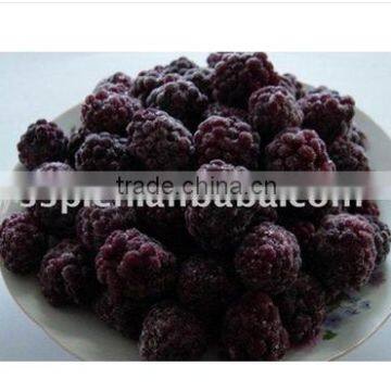 Fresh black berries