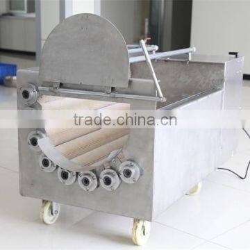Vegetable Washer, Automatic Onion Peeler photo-3