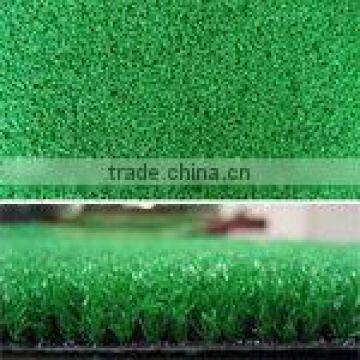 roof leisure grass