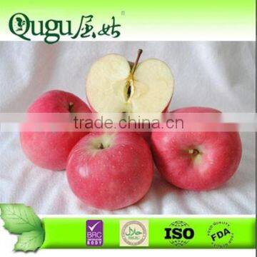 Tianshui Huaniu Apple from China