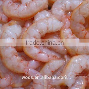 frozen fresh pink shrimp