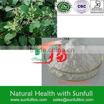 Resveratrol 98%,Polygonum cuspidatum
