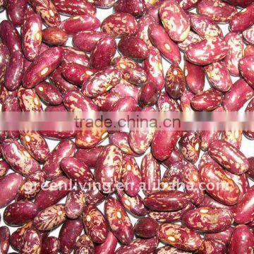 2011 red speckled kidney beans (good colour)