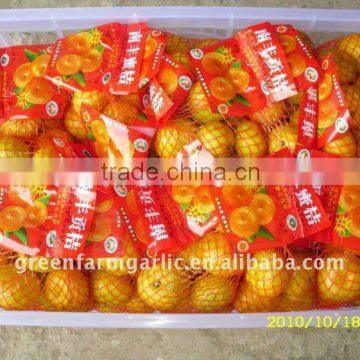 Mandarin Orange photo-2